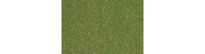 Travní koberec, louka, střední zelená, 75 x 100 cm, Auhagen 75212