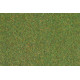 Travní koberec, louka, střední zelená, 75 x 100 cm, Auhagen 75212
