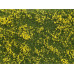 Foliáž luční květy žluté, Noch 07255