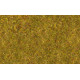 Foliáž, louka, žluto-zelená, 20 × 23 cm, Noch 07290