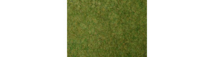 Travní foliáž, světle zelená, 20 × 23 cm, Noch 07280