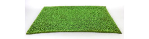 Pole, mák - zelené makovice, Polák 5825