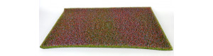 Pole, červené kvetoucí, Polák 5828