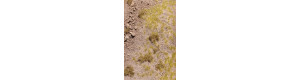 Foliáž poušť, severní Afrika, kamenitý terén, Model Scene F310