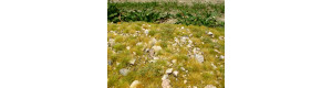Foliáž Pozdní léto - vápencové kameny M (středně kamenité), MINIPACK, Model Scene F723-S