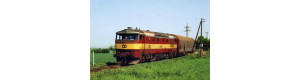 Pohlednice, motorová lokomotiva 751.239 u Velké Bučiny-Olovnice-květen 2006, Corona CPV041