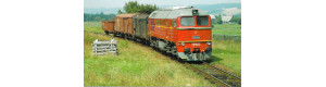 34-2008 Pohlednice, Motorová lokomotiva T 679.1529 u Dolní Lipky, Letohradský železniční klub